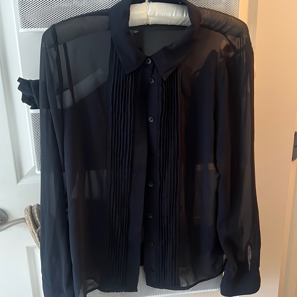 Zara Sheer Blouse